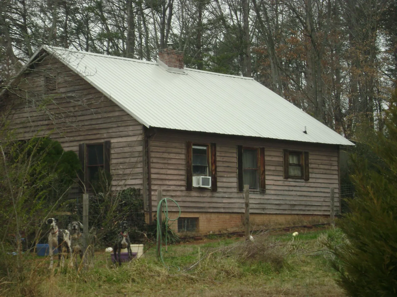 White metal roof on an old wood sided farmhouse, from a Metal Roof Installation job in Dawson